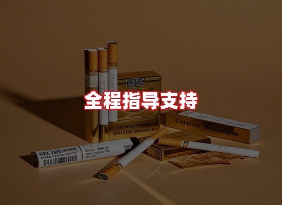 专业团队